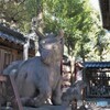 狛牛