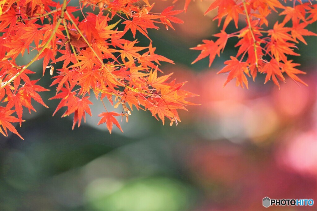 紅輝～⑦