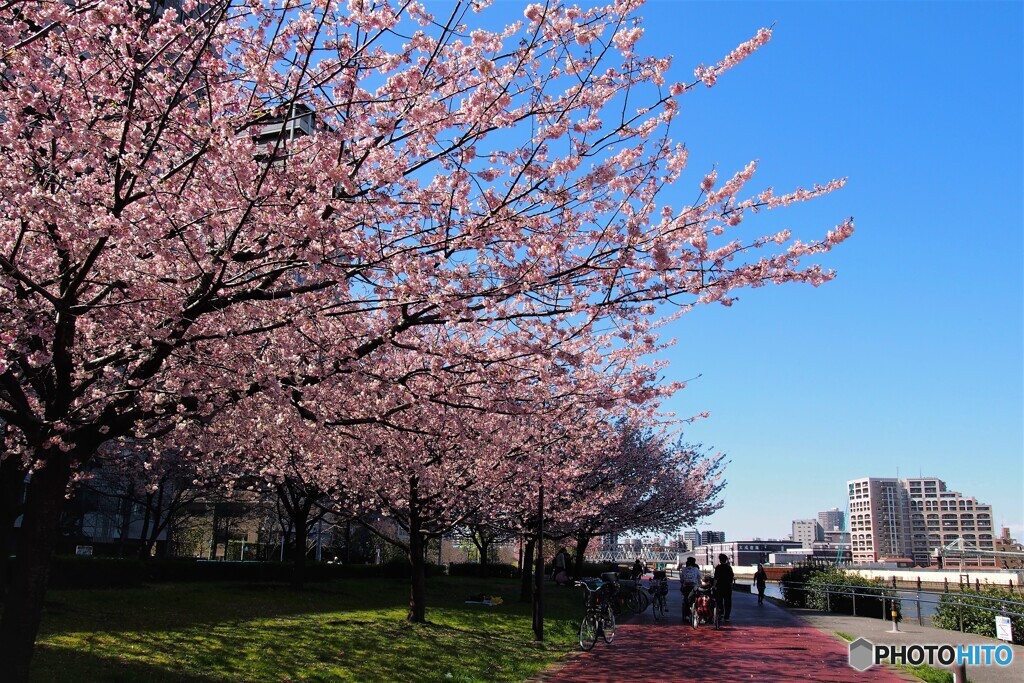春のうららの隅田川