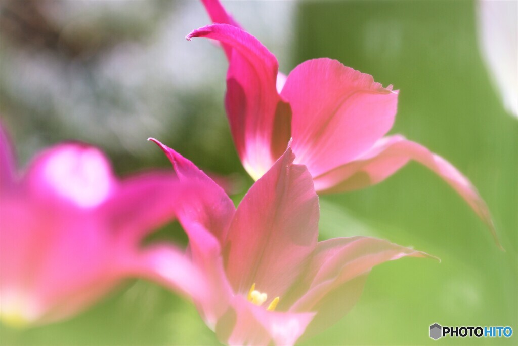 春なのに、、、ⅴ
