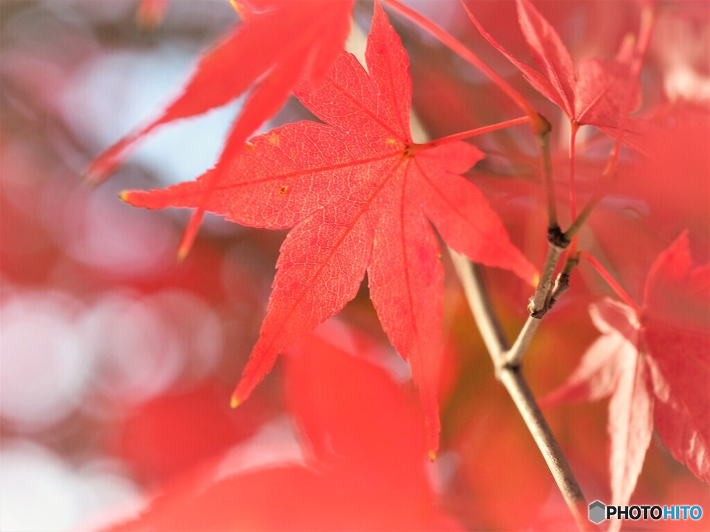 汐入せせらぎ広場～ⅱ