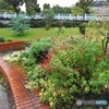 試し撮りハーブ園
