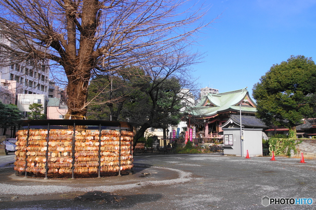 猫好きの聖地