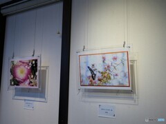 特別編～友人の４人展ー①