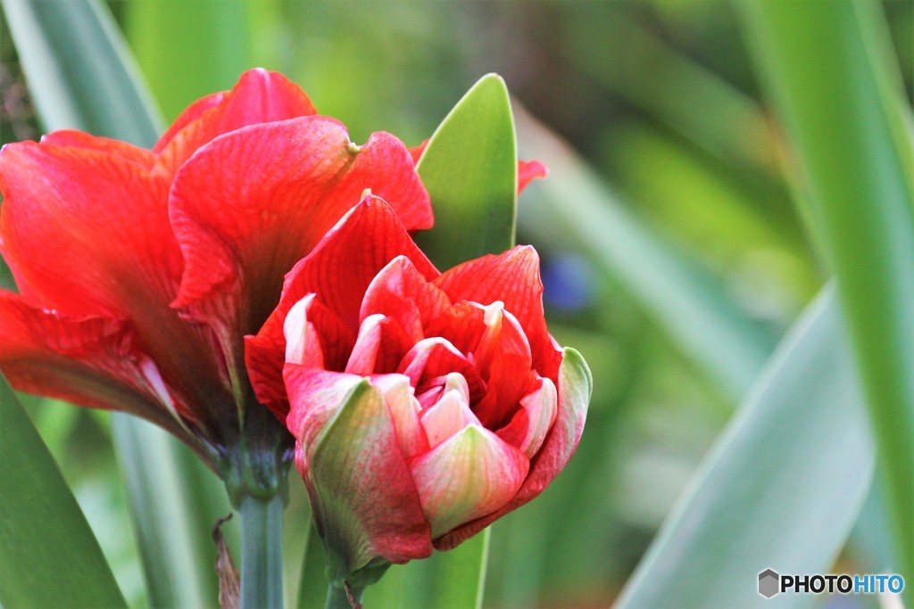 君の名は、、、。