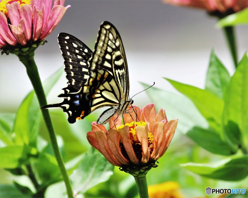 美味いよ～、、、。