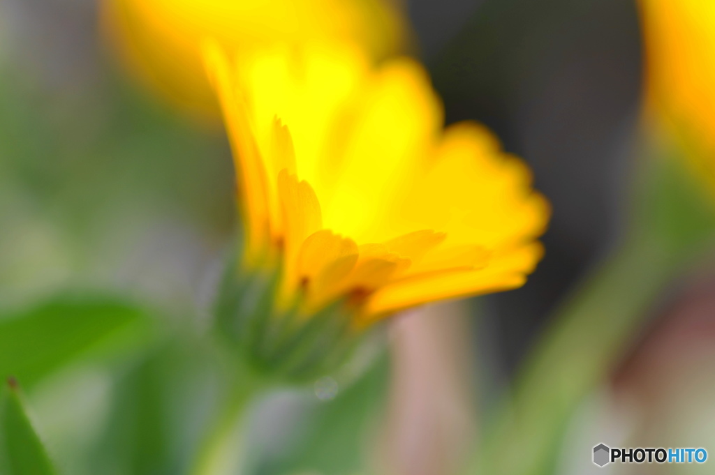 花明かり