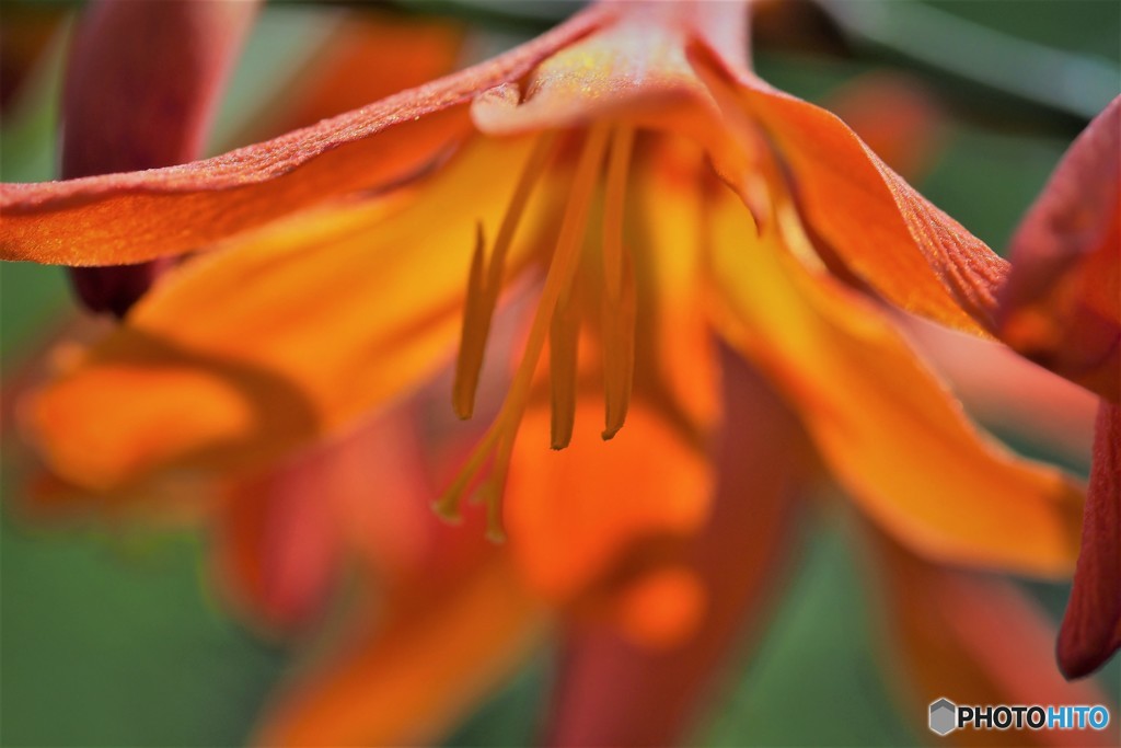 楽しい思い出～、、、。