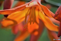 楽しい思い出～、、、。