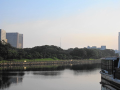 浜離宮とスカイツリー①