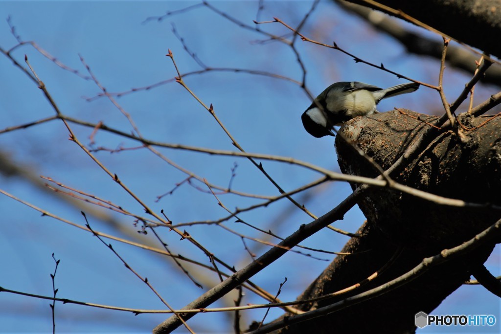 何食べてんの～、、、！！