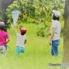 短い夏休み。