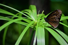 足立区立生物園～⑧