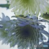 窓際で～④