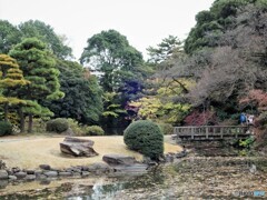 新宿御苑～擬木の橋