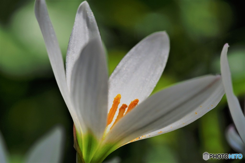 繊細なこころ 。