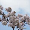 君の名は～ⅱ