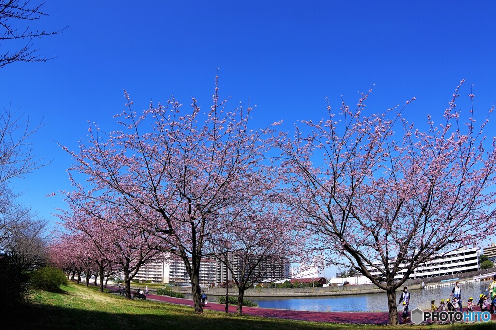 春のうららの隅田川