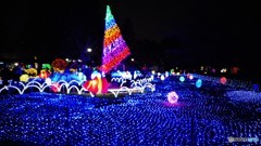 ー光の祭典２０１８ー、、、②