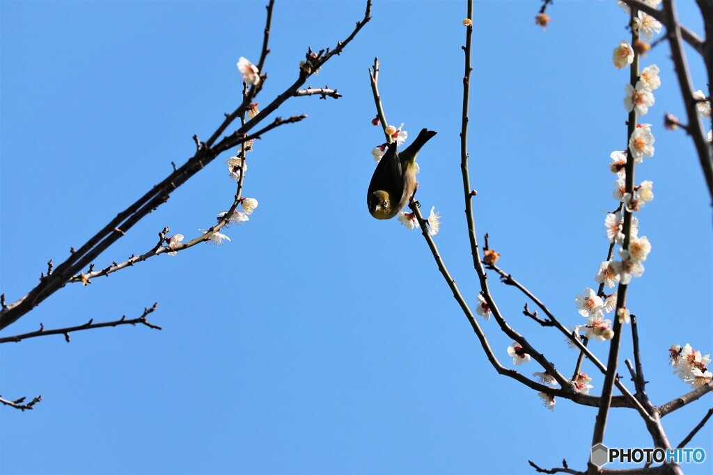 様子見