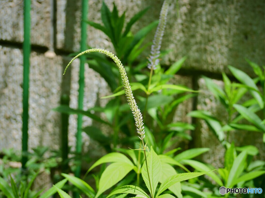 君の名は、、、？？