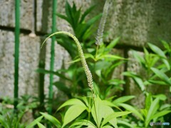 君の名は、、、？？