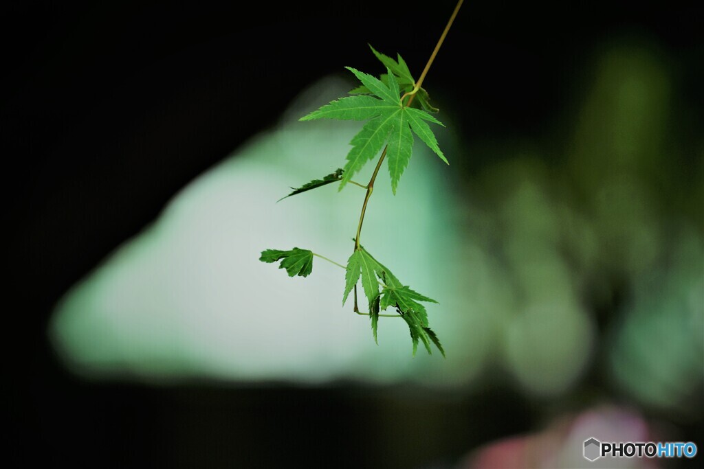青の輝き～ⅲ