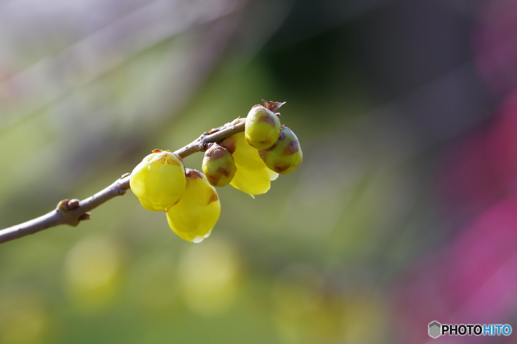 昨年の昨日ーⅱ