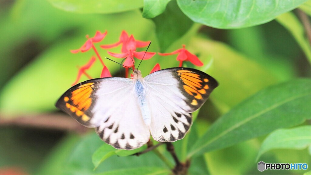 生物園ー令和～⑱