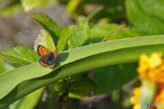 温かい、、、。