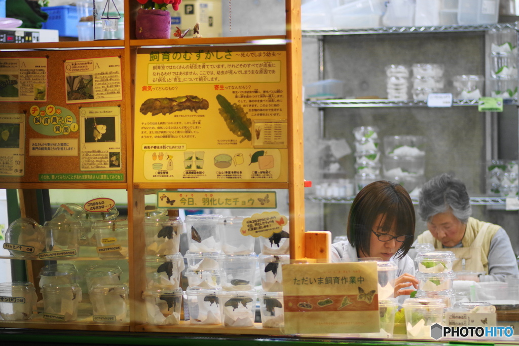 生物園Ⅳー16