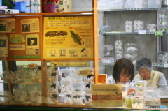 生物園Ⅳー16
