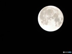 今夜の満月、、、。