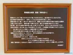 「春秋遊々」～Ⅱ