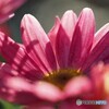 秘密の恋～ⅱ