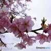 5年前の雨上がり～ⅱ