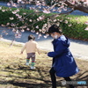 春物語－Ⅱ