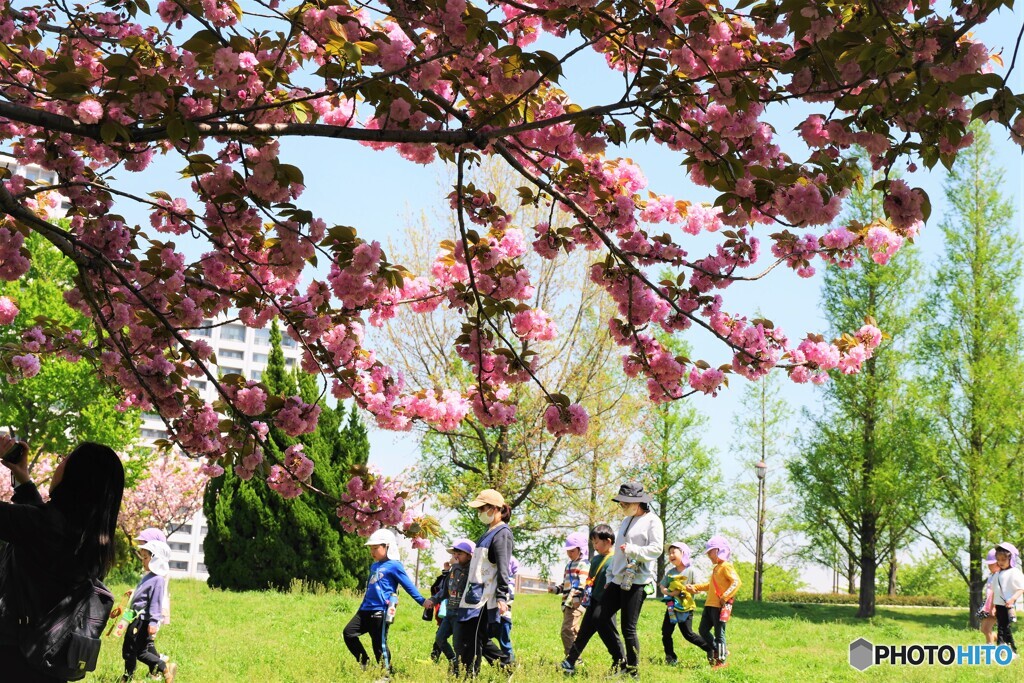 江戸の向こうの未来の希望