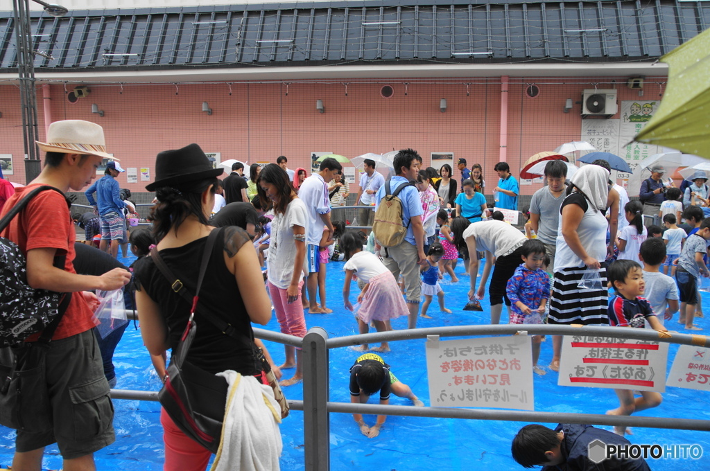 ドジョウつかみ取り大会－２