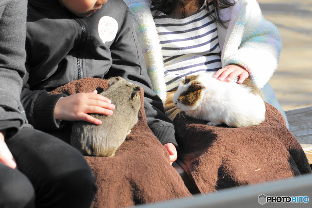 生物園Ⅲー４