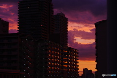 都会の夕焼け