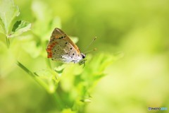 夏の陽気に～、、、。