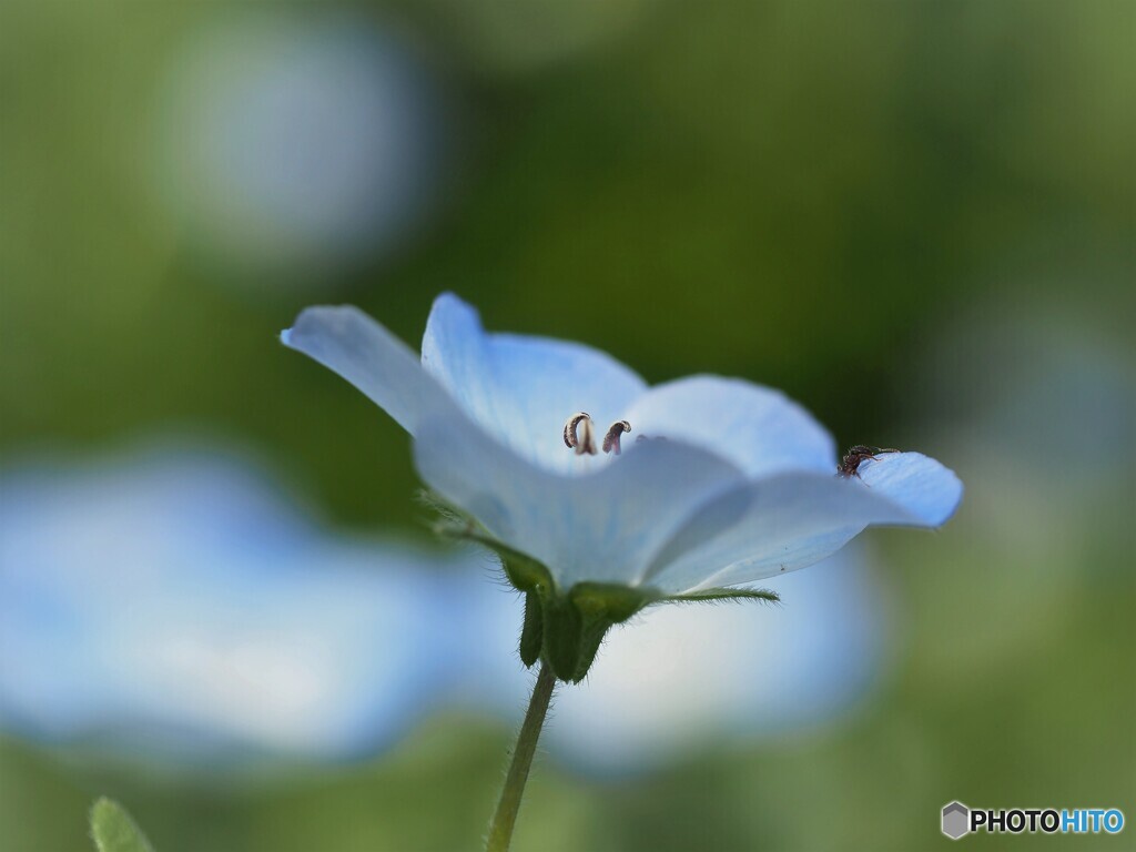 どこでも成功