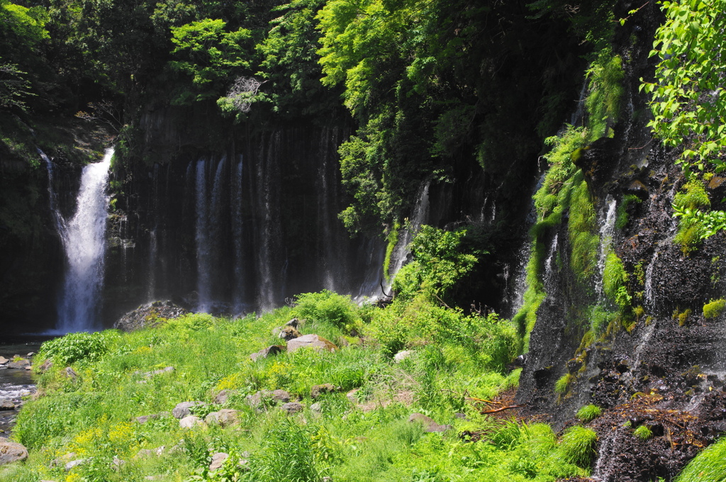 白糸の滝 -1