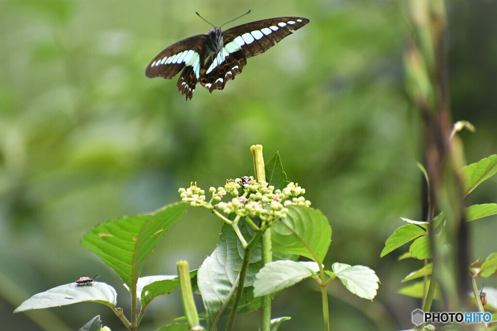 驚き