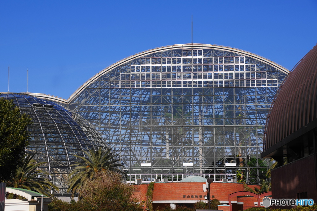 夢の島熱帯植物館