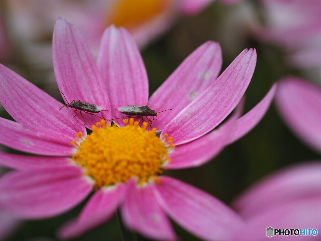 無視するナ～ⅱ