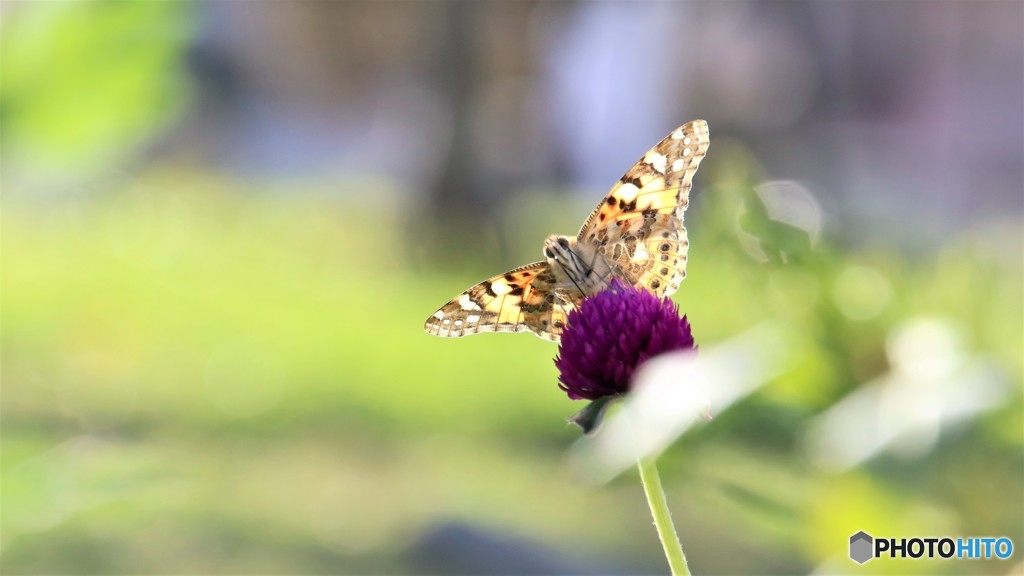 下から見たぞ～、、、。