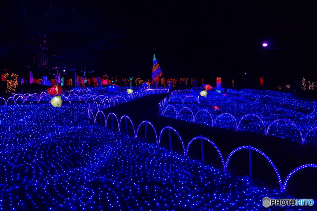 光の祭典２０１６－３