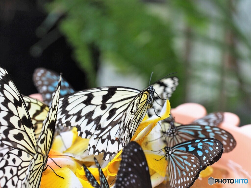 生物園ー令和～⑰